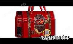C3/C7 侧喷可变数据喷印系统技术参数Technical Parameters C3/C7 侧喷可变数据喷印系统技术参数Technical Parameters