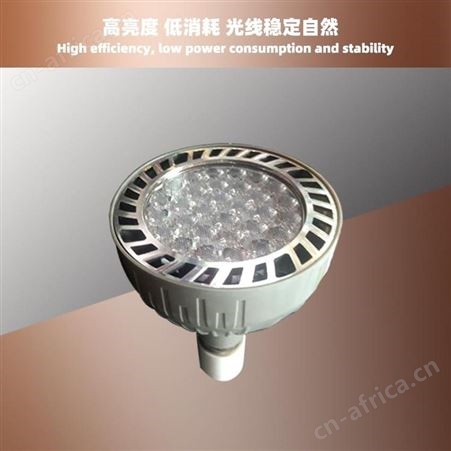 盖香云LED-PAR30射灯轨道灯店铺装修用服装店大厅背景墙瓦数齐全