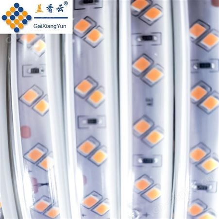 盖香云36V低压LED灯带白光10mm斜双排2835-120D-带桥堆透镜款
