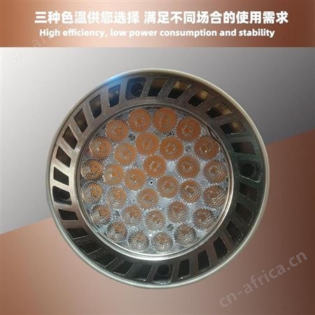 盖香云LED-PAR30射灯轨道灯店铺装修用服装店大厅背景墙瓦数齐全