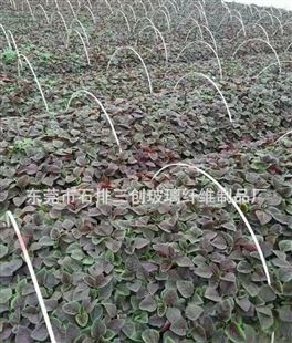 生产批发高强度耐腐蚀农业拱棚杆 保温棚 育苗棚 防晒网拱棚杆