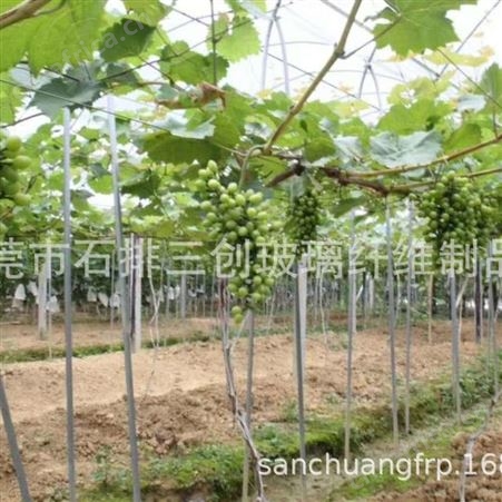 生产批发高强度耐腐蚀农业拱棚杆 保温棚 育苗棚 防晒网拱棚杆