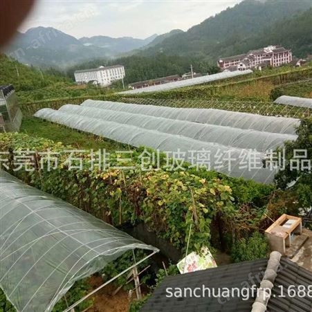 生产批发高强度耐腐蚀农业拱棚杆 保温棚 育苗棚 防晒网拱棚杆