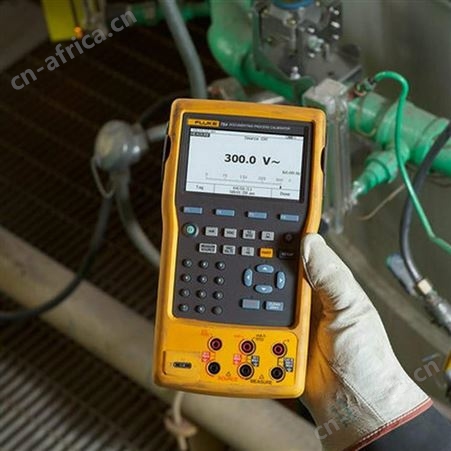 福禄克Fluke 753/754 手持式过程校准器