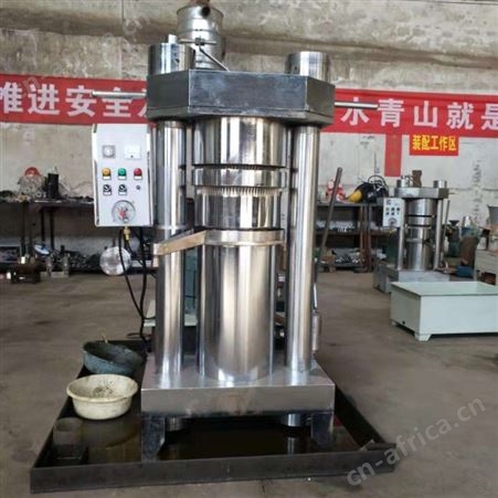 全自动液压芝麻榨油机 玉米橄榄榨油机 杏仁核桃立式榨油机