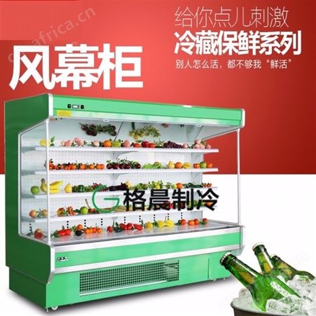 GC-195风幕柜 山东风幕柜 风幕柜定做