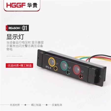 带电显示器_华贵电气_带自检验电带电显示器_现货销售