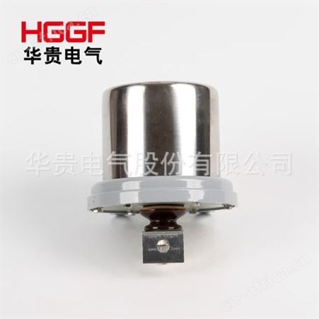 JCQ-2/800避雷器运行监测器，放电计数器检测仪，华贵电气