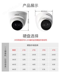 大华星光级网络半球摄像头400万带声音DH-IPC-HDW4443DT-A