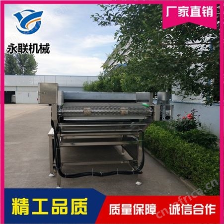 鸡枞菌漂烫机 菌菇类清洗漂烫机 蔬菜清洗加工线