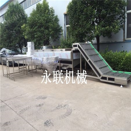 生蚝清洗设备 海蛎子去泥除污机 全自动蛤喇毛辊清洗机器