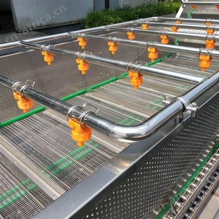 红枣气泡喷淋清洗机 花椰菜全自动气泡清洗机