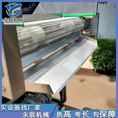 抱儿菜全自动气泡清洗机 牛皮菜连续式喷淋清洗机