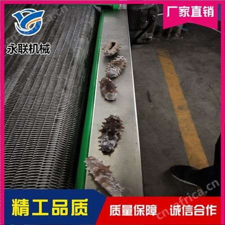 竹笋速冻机 果蔬片单冻机 秋葵香菇冷冻设备