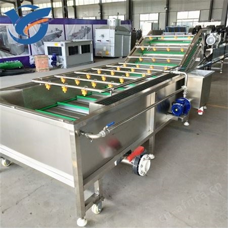 净菜加工设备 清洗蔬菜设备 农产品前处理粗加工设备