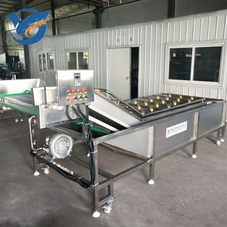 永联500型小龙虾清洗机 潜江小龙虾清洗设备 全自动龙虾清洗机