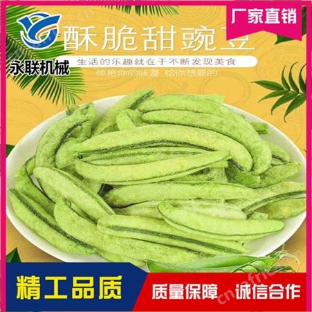 果蔬脆低温油炸机设备 永联 全自动低温油炸机设备