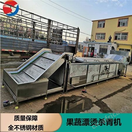 PTJ-6000水果蔬菜漂烫预煮机 辣椒全自动漂烫杀青设备 大型果蔬加工设备流水线