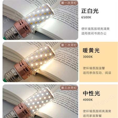 led吊灯光源 LED玉米灯泡 E14E27家用灯泡 双庆灯饰云石灯玉石灯专用光源