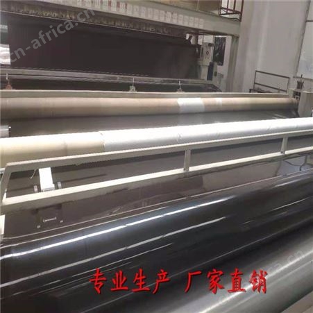土工膜厂家 复合土工膜恒瑞通价格 一布一膜土工膜土工膜