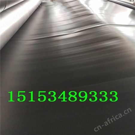 【防渗膜】HDPE防渗土工膜土工布垃圾填埋场沼气池防渗膜