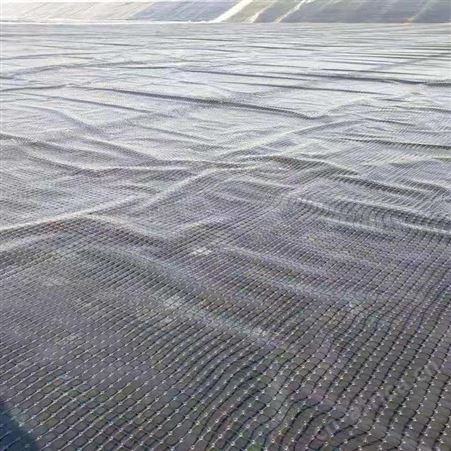 恒瑞通防渗膜厂家定制 水库用的土工膜 柱点土工膜