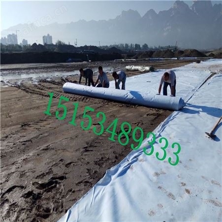 【两布一膜】防渗漏土工膜 hdpe膜 黑色两布一膜 复合膜