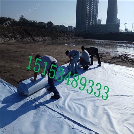 【两布一膜】防渗漏土工膜 hdpe膜 黑色两布一膜 复合膜