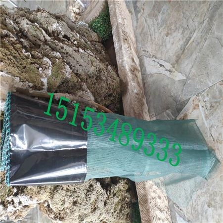 养鱼网箱小龙虾防逃加盖网箱尼龙黄鳝泥鳅育苗网箱青蛙螃蟹防逃膜