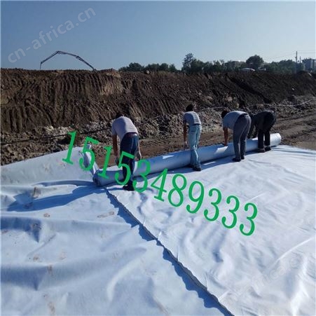 【两布一膜】防渗漏土工膜 hdpe膜 黑色两布一膜 复合膜