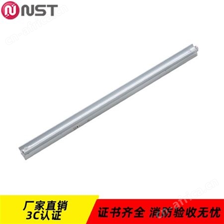 N-ZLZC-E14W8503劳士NST集中控制系统应急智能照明飞鹰罩红外人体感应T8玻璃单管1.2M支架N-ZLZC-E14W8503