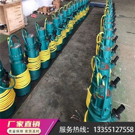 矿用BQS污水潜水泵防爆电机 矿用切割式隔爆潜水泵