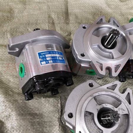 CBK1032/1012齿轮泵 采煤机双联齿轮泵 温纳齿轮油泵厂家