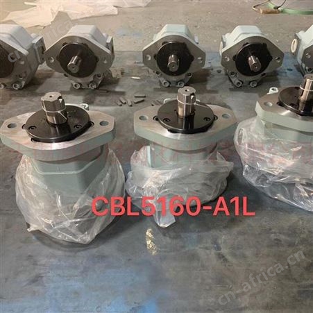 金科双联泵P5100-F100NM48798/P124-G10YG煤机三联齿轮马达-温纳