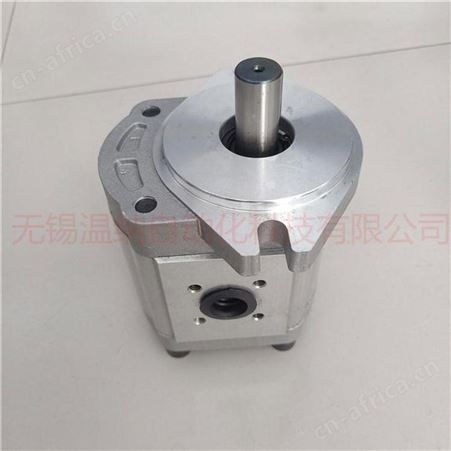 CBK1032/1012齿轮泵 采煤机双联齿轮泵 温纳齿轮油泵厂家