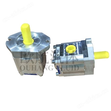 销售艾可勒液压齿轮泵注塑机械油压机专用EIPC5-100-RA23-10