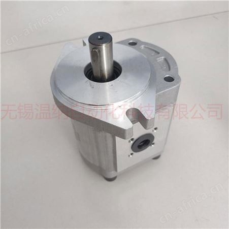 CBK1032/1012齿轮泵 采煤机双联齿轮泵 温纳齿轮油泵厂家