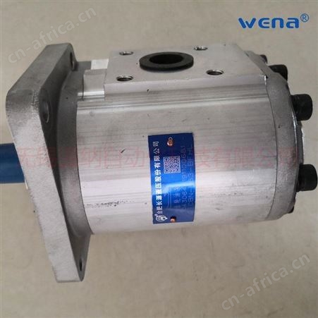 CBN-F520-BFP合肥长源齿轮泵 装载机齿轮泵