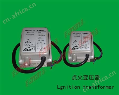点火变压器  COFI点火变压器