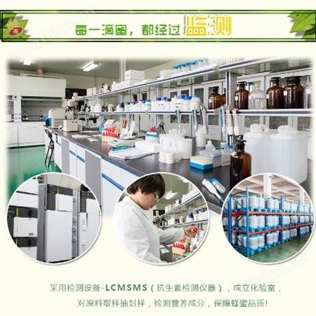 外贸出口蜂蜜原料 出口欧盟有机认证蜂产品土特产土蜂蜜批发采购