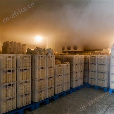 湖南恒亮蜂皇浆胶囊外贸出口品质