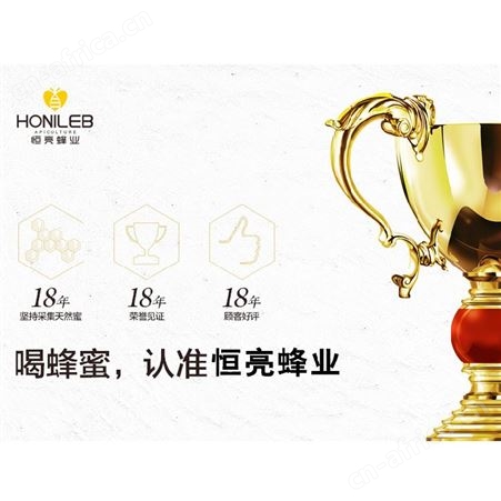 恒亮蜜饯蜂蜜原料一件代发