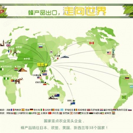 外贸出口蜂蜜原料 出口欧盟有机认证蜂产品土特产土蜂蜜批发采购