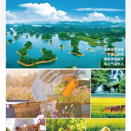 上海恒亮蜂皇浆欧盟有机认证出口品