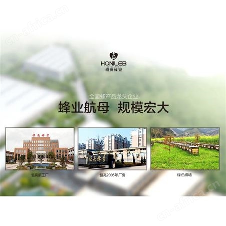 袋装蜂蜜蜜饯蜂蜜厂家