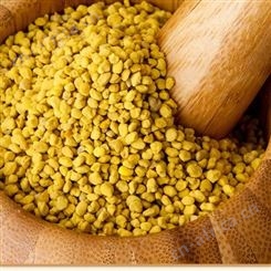 天然纯蜂花粉 青海油菜花粉 出口级别 欧盟有机认证 优质原料批发采购