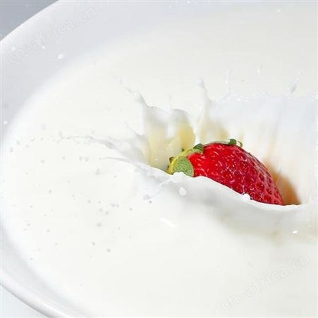 酸奶粉进口酸奶粉冰淇淋酸奶粉波兰酸奶粉无糖