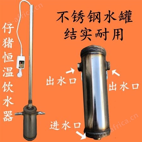 仔猪恒温加热饮水器保育猪小猪母猪产床自动恒温自动加热热水器