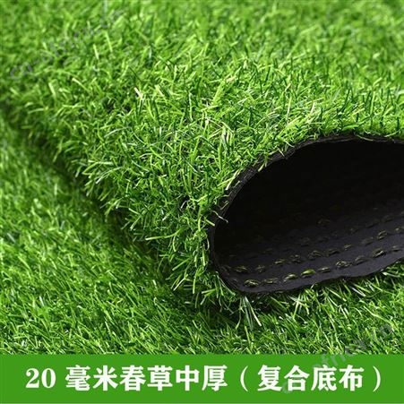 福建福州鑫佰幼儿园仿真人造草坪5cm加厚秋草中厚背胶