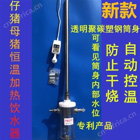 仔猪恒温加热饮水器保育猪小猪母猪产床自动恒温自动加热热水器